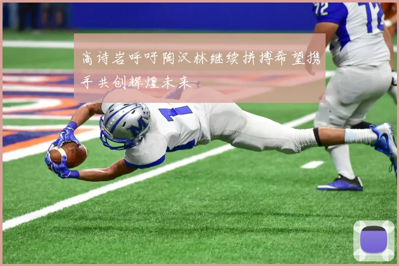 高诗岩呼吁陶汉林继续拼搏希望携手共创辉煌未来